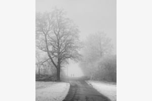 Aus dem Nebel...
