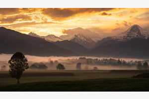 Morgenstimmung