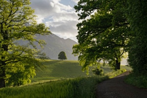 Frühlingsabend