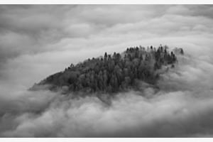 Nebel-Insel