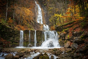 Herbst-Fall