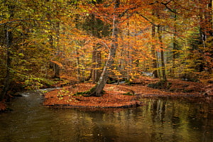 Farbenpracht