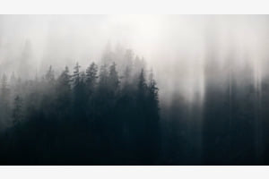Silhouetten