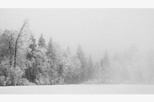 Winterstille