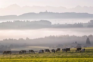 Countryside