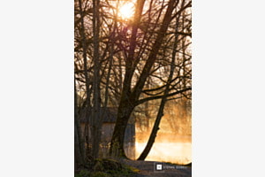 Morgensonne