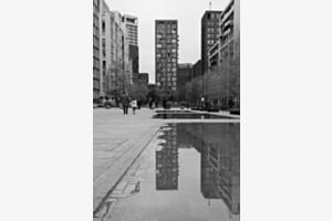 Nach dem Regen