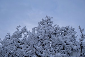 Nach dem Schneefall