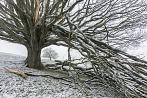 Nach dem Sturm Nach dem Sturm