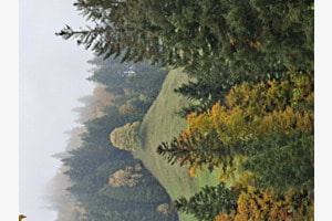 Napf