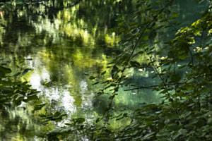 Natur Pur