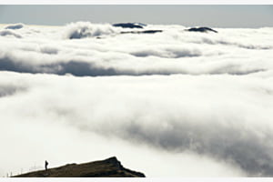 Waves of Fog