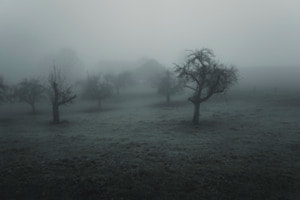 Nebel