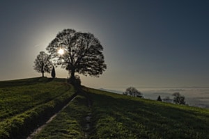 Oben Sonnig blau, unten Nebel grau