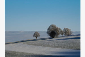 Knapp darüber