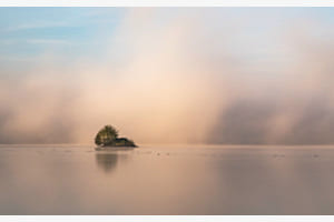 im Nebel