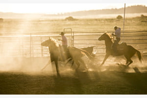 Rodeo im Abendnebel