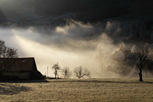 Nebelstimmung