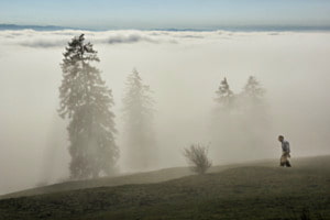 Nebelwand