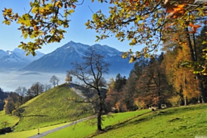  Niesen