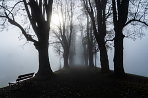 Stille unter der Alee