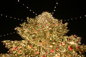 Lichterkrone der Weihnacht
