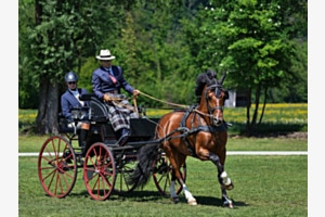 Sportlich & Elegant