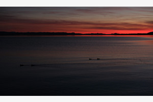 Vers la nuit