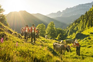 Öberefahre "Alpaufzug"
