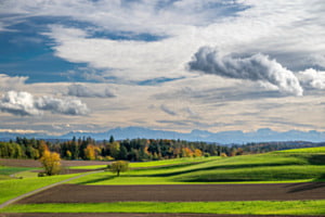 Die bunte Jahreszeit im Zürcher Weinland