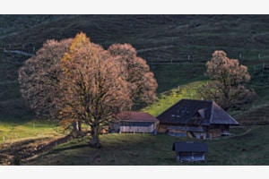 Herbstmorgen auf der Alp Unter Sohl
