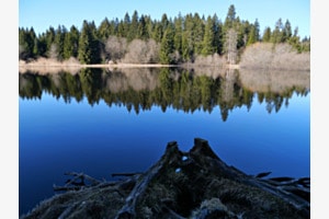 Ruhe am See