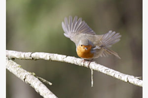 Abflug