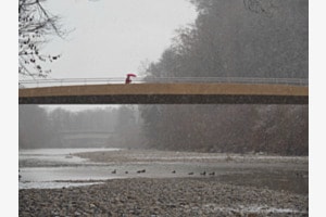 Januarwetter an der Emme in Burgdorf