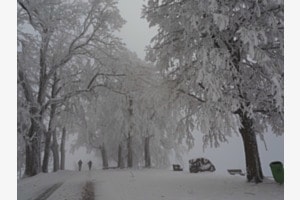 Winterwunderland