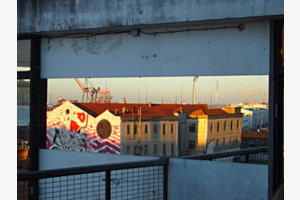Reflection