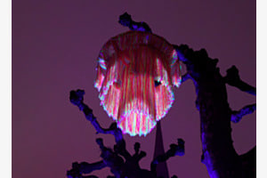 Lichtschau Murten Lichtschau Murten