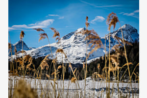 Durchblick zu Piz Alba / Piz Julier