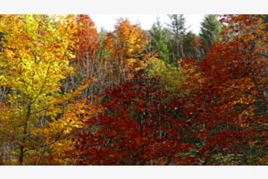 Indian Summer im Kleinwalsertal