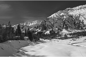 Snow
