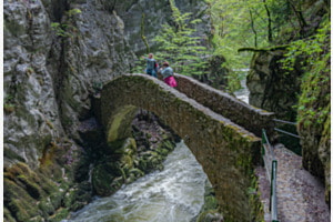 Areuse