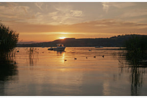 Murtensee