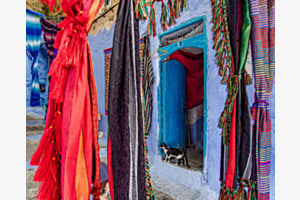 Farbtupfer in der blauen Stadt (Chefchaouen, Marokko)