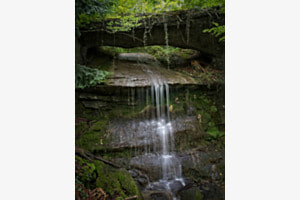 NATURBRÜCKE HÜLLISTEIN
