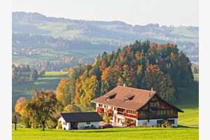 IDYLLISCHE HERBSTLANDSCHAFT