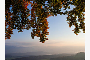 HERBSTLICHE ABENDSTIMMUNG