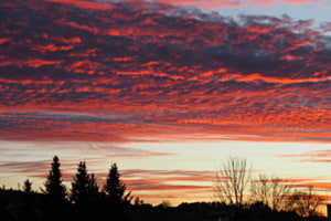 Abendrot