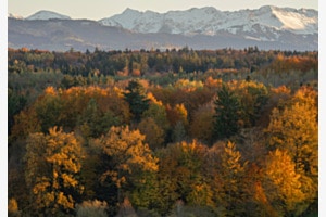 Herbst