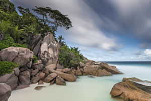 Paradise