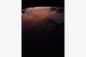 Take a look down, and you see the world above